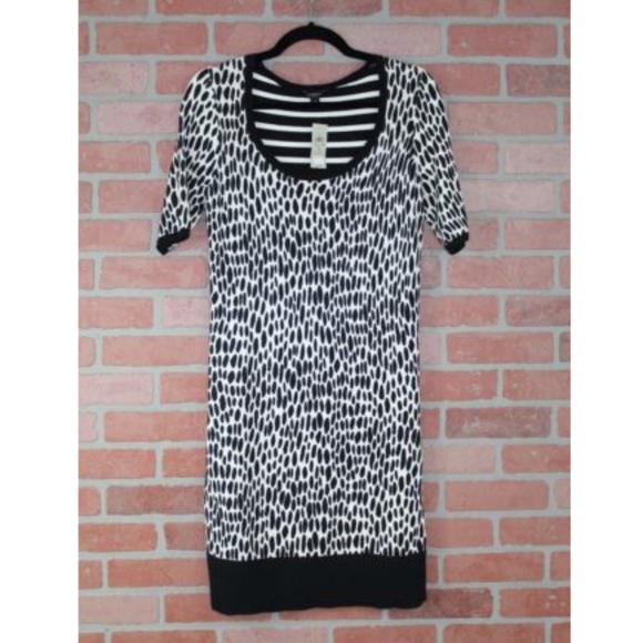 Ann Taylor Spot & Striped Contrast Sweater Dress - Picture 1 of 4